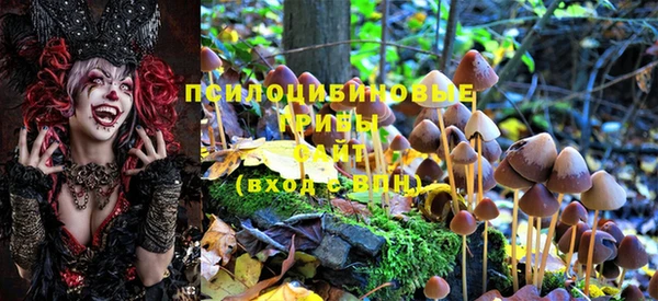 амф Алексеевка